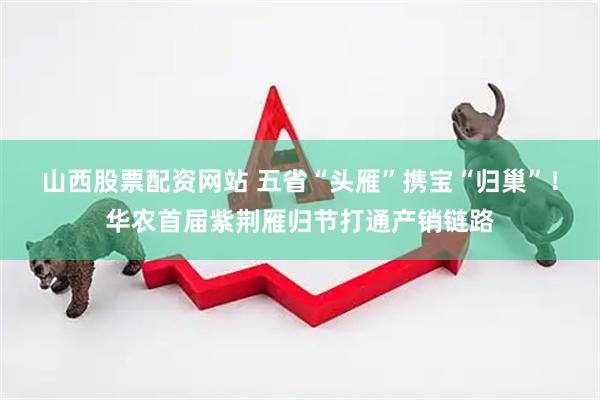 山西股票配资网站 五省“头雁”携宝“归巢”！华农首届紫荆雁归节打通产销链路