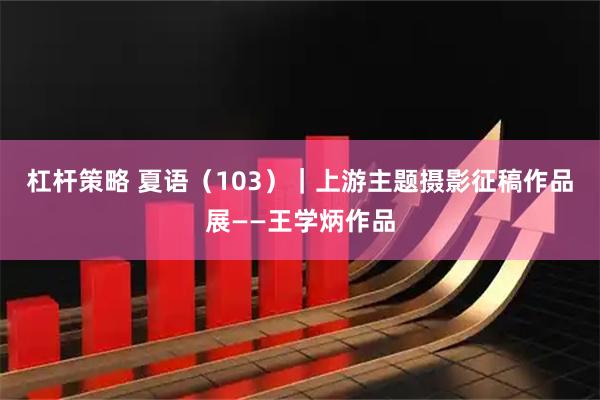 杠杆策略 夏语（103）｜上游主题摄影征稿作品展——王学炳作品